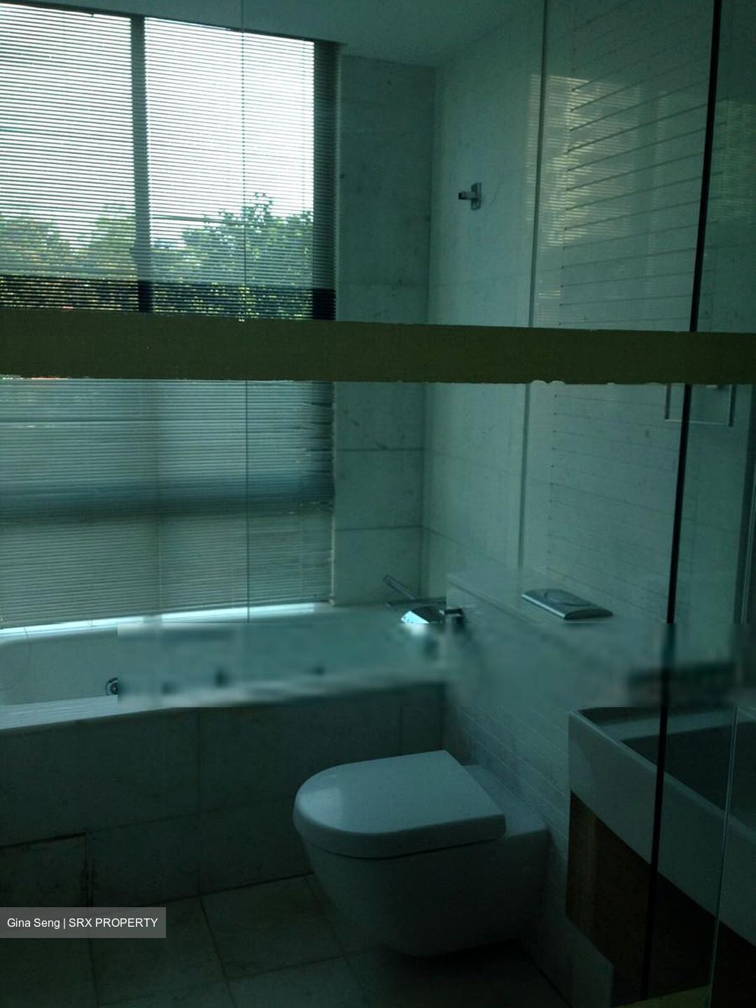 One Tree Hill Mansions (D10), Apartment #612283371